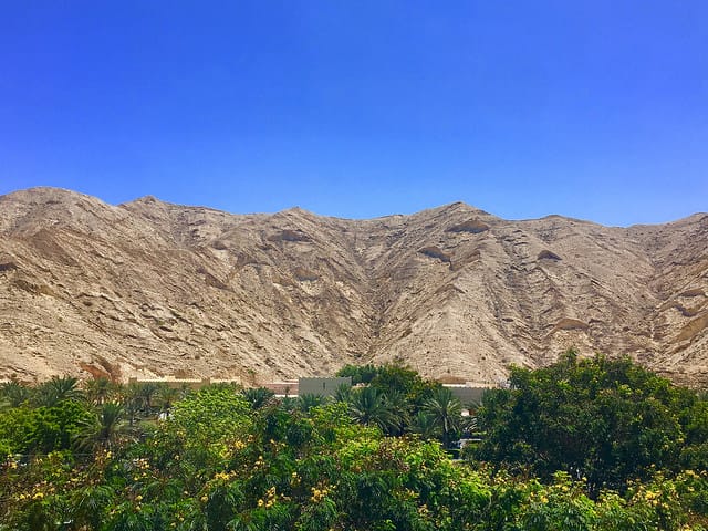 35978955174_791fe8d21b_z