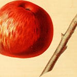 14782670862_d8821d4ec7_q