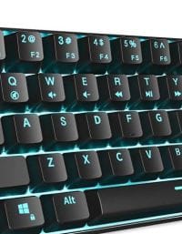 61BSusFebML._SL1000_