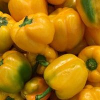 26251995940_83129a9908_z