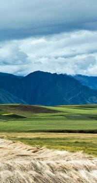 mil-estudio-rafael-freyre-restaurant-lima-peru_dezeen_2364_col_22