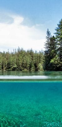 54ea3e80583549.5ce5589e21e92