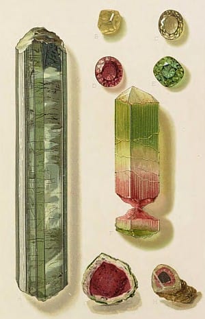 kunz-g-gems-1890-RTL014232-LowRes_0108