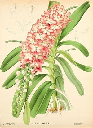 49158382541_09d4030c50_c