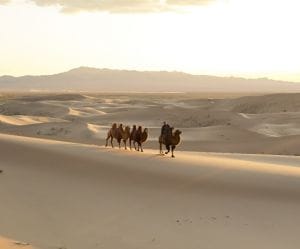 b9425195157323.5e90a18c020ed