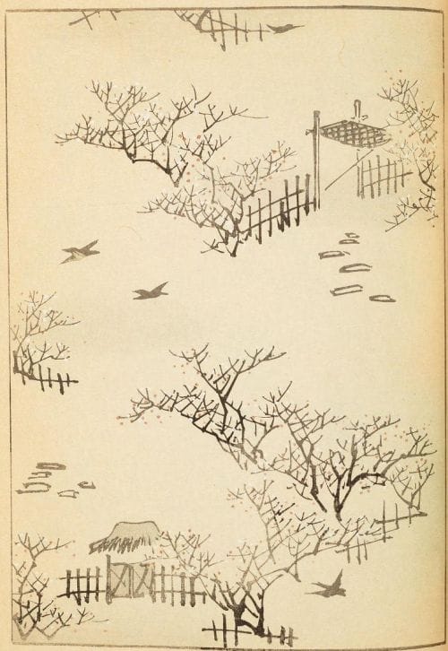 Shinbijutsukai1_0084